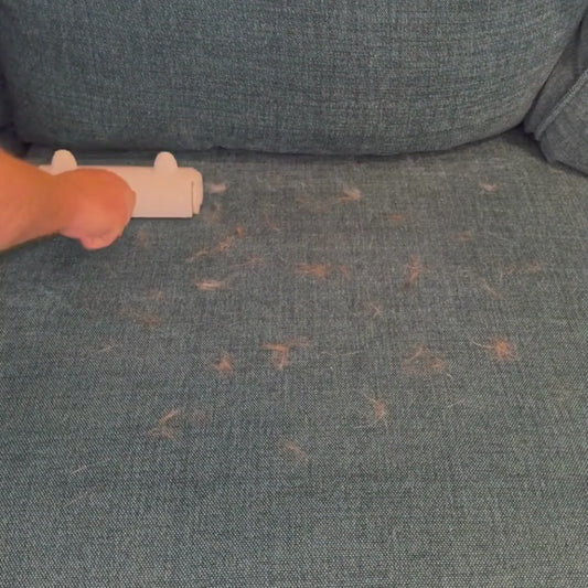 FurFree Hair Roller